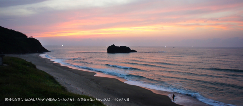 949293e8ac8add81i82cd82ad82c682a982a282aa82f181j.jpg