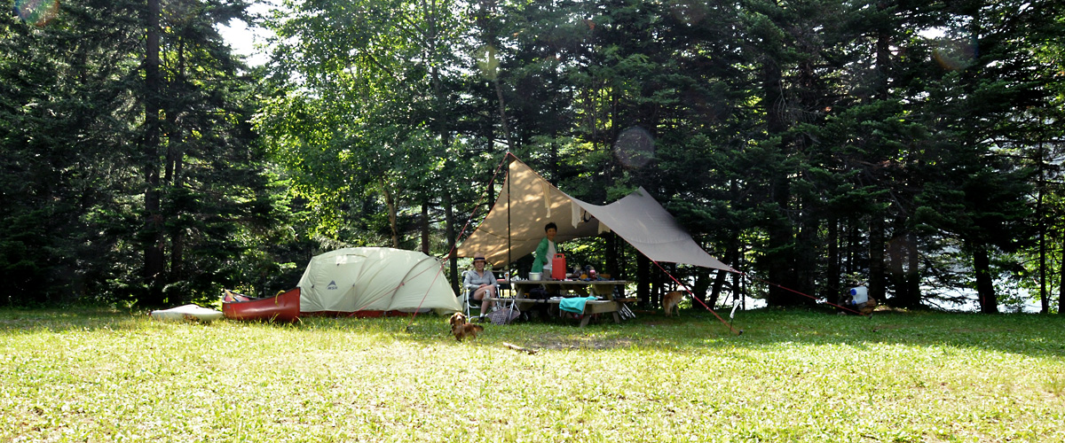 dsc_0314.jpg