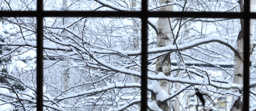 dsc_0354.jpg