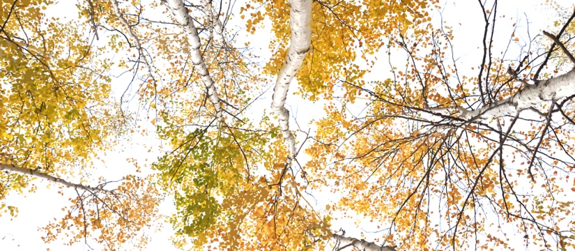 94928a92-8fh-8bc282ac8ca982e9-dsc_2779.jpg