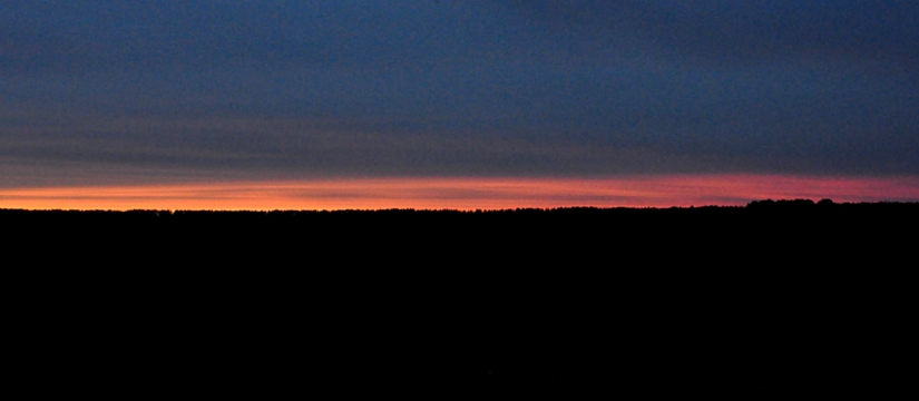 dsc_2867.jpg
