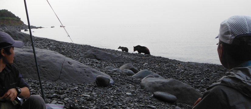 dscf9325.jpg