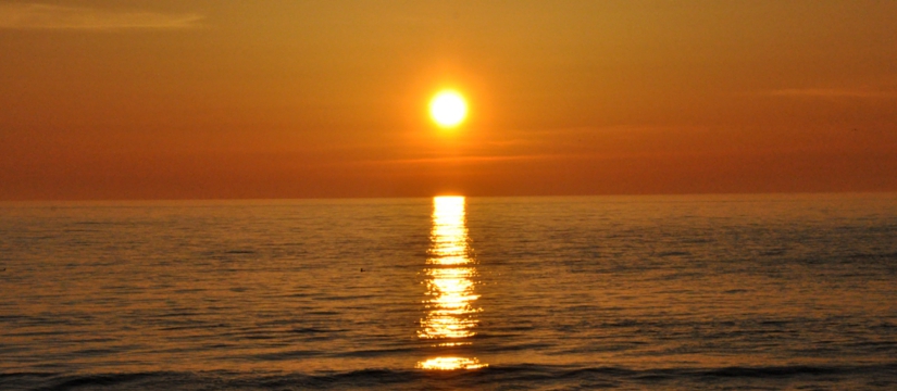 dsc_2134.jpg