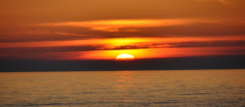 dsc_2147.jpg