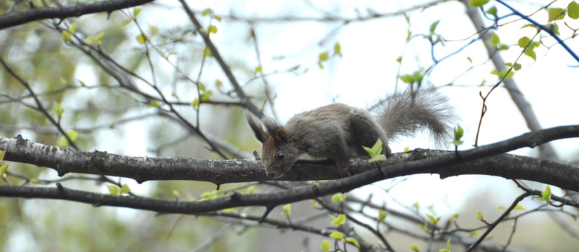 dsc_2078.jpg