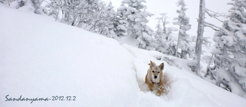 20121202-8eo92i8er.jpg