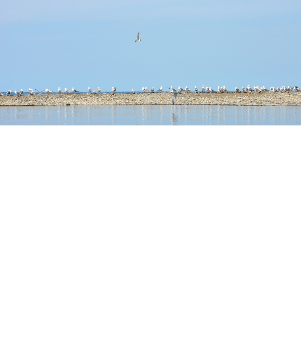 dsc_1840.jpg