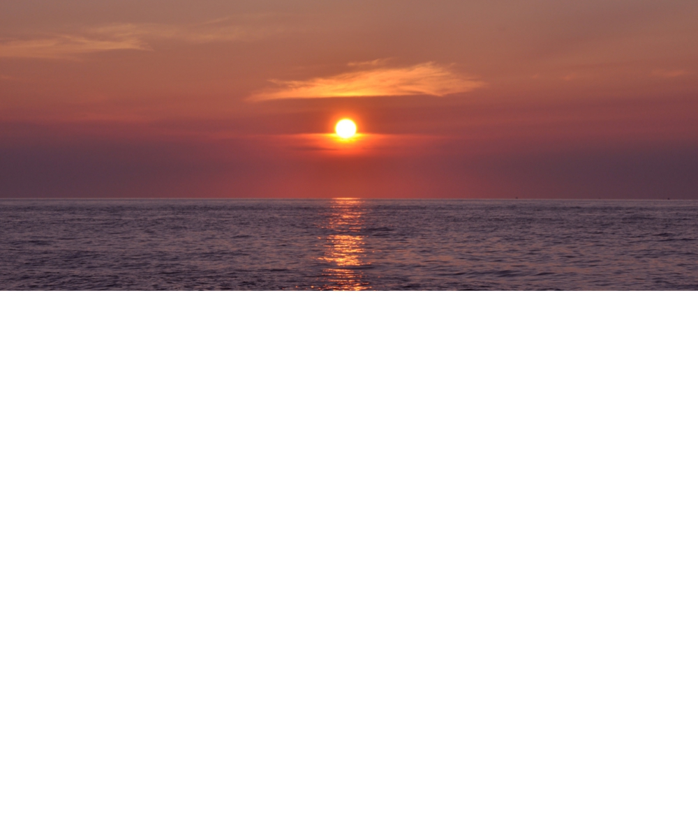 dsc_1894.jpg