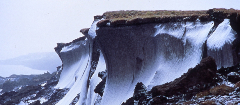 file0001.jpg