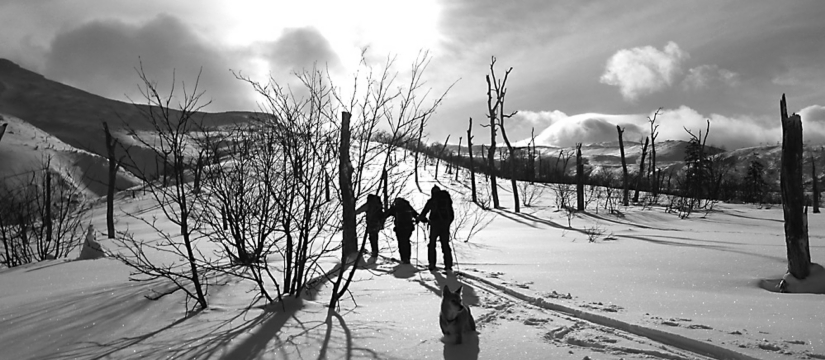p1000541.jpg