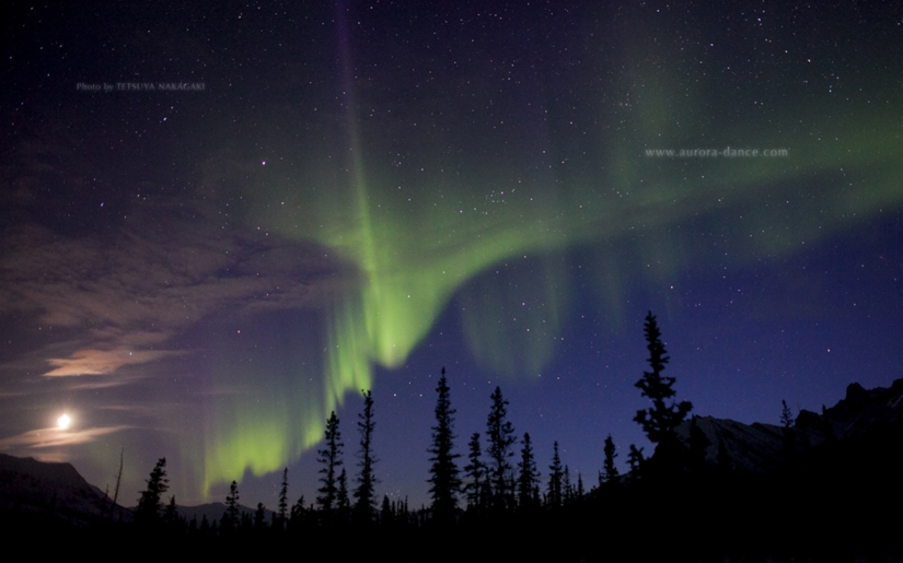 sinsai-1-nakagaki-aurora-1920-1200-5.jpg