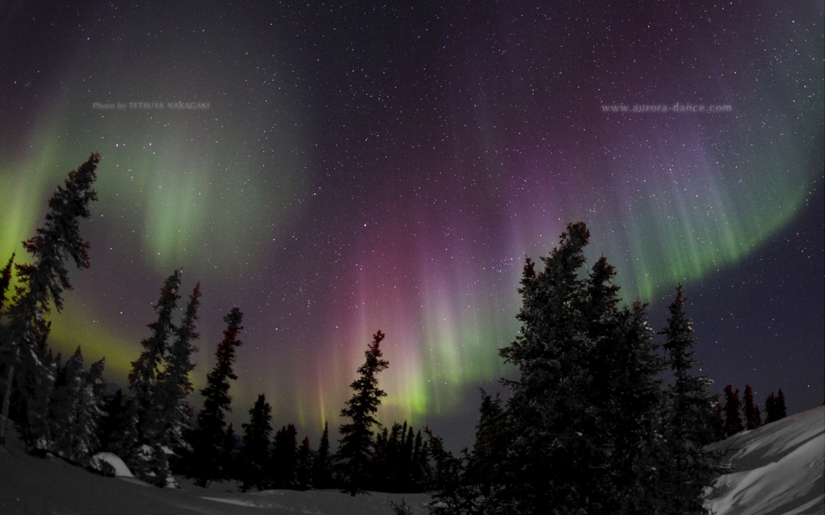sinsai-7-nakagaki-aurora-1920-1200-2.jpg