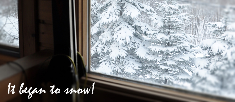 it20began20to20snow.jpg