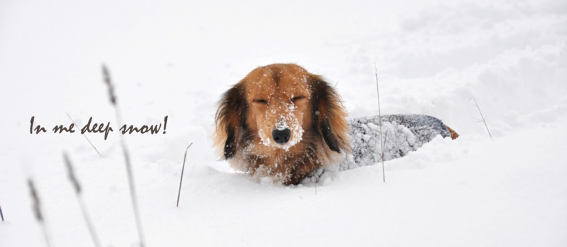 in20me20deep20snow.jpg