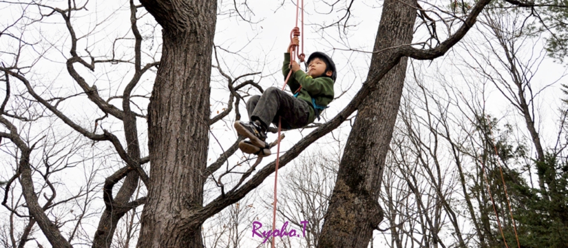 ryoho.jpg