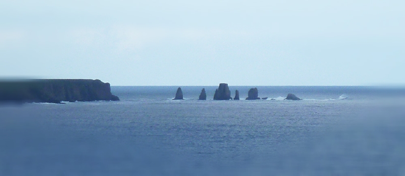 p1020120.jpg