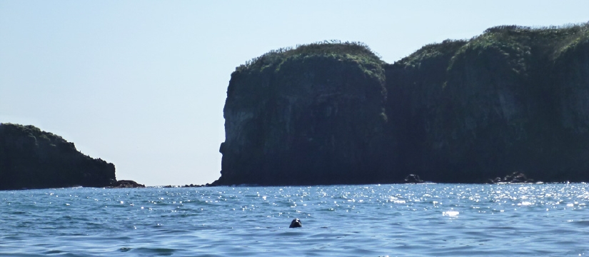 p1000330.jpg
