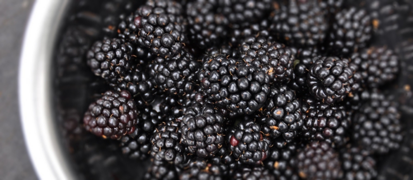 black81eber81ery-3.jpg