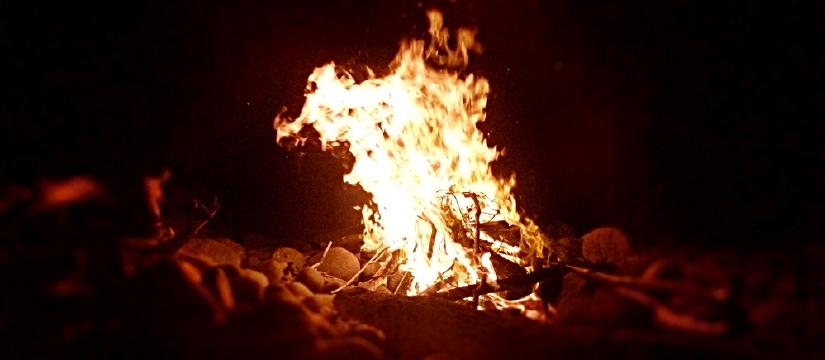 p1020282.jpg