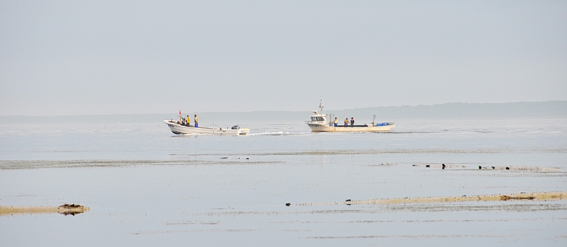 dsc_1207.jpg