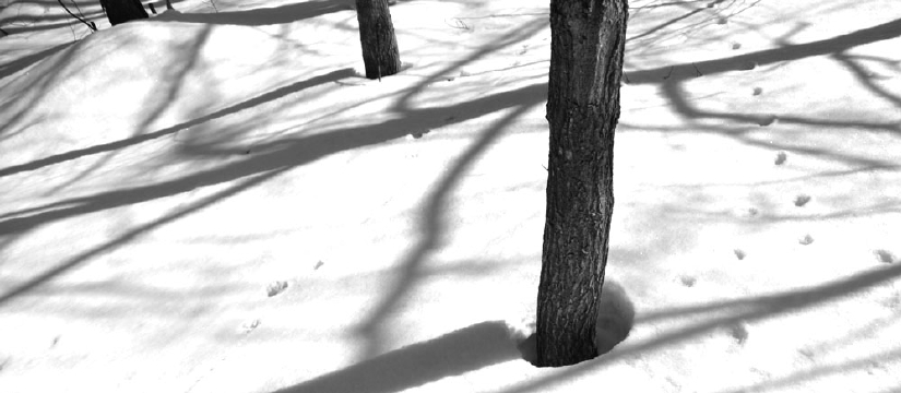 91ab90d5bw.jpg