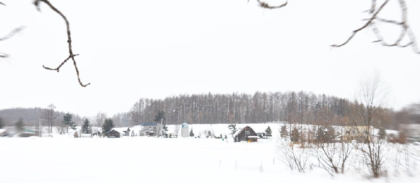 dsc_0667.jpg