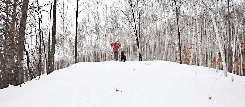 dsc_0659.jpg