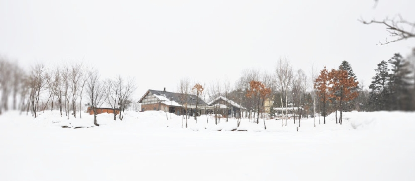 dsc_0680.jpg