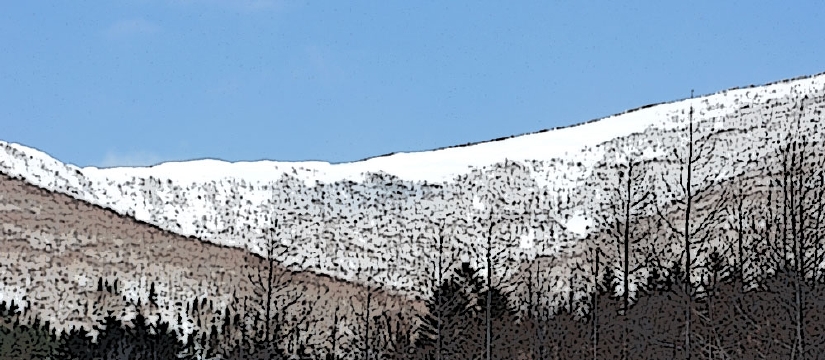 dsc_0394.jpg