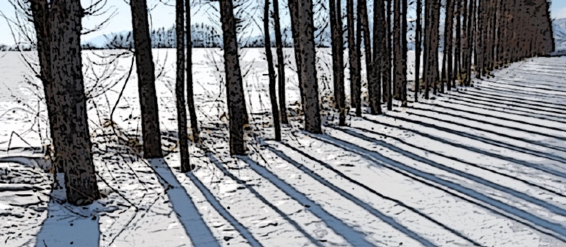 dsc_0406.jpg