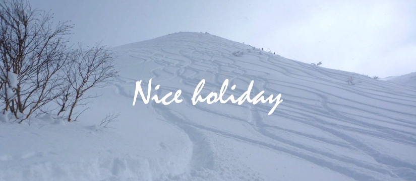 nice20holiday.jpg