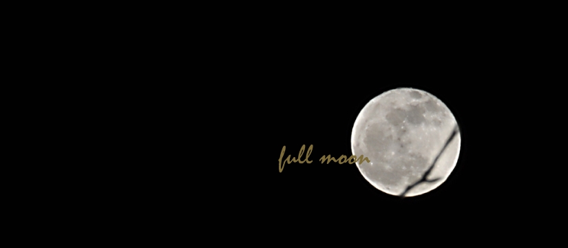 ful-moon-2.jpg