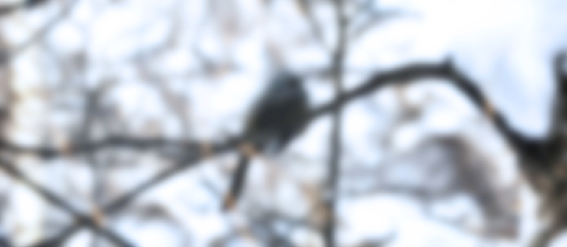 838083n83h838a-83s839382da82af.jpg