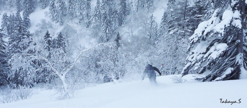 20101226furano-takaya.jpg