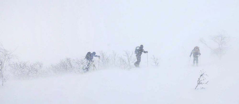 20101212-2.jpg